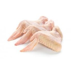 Alas de pollo frescas.