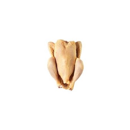 Pollo entero fresco.