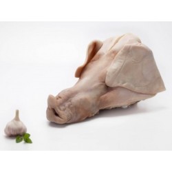 Cabeza de cerdo fresca