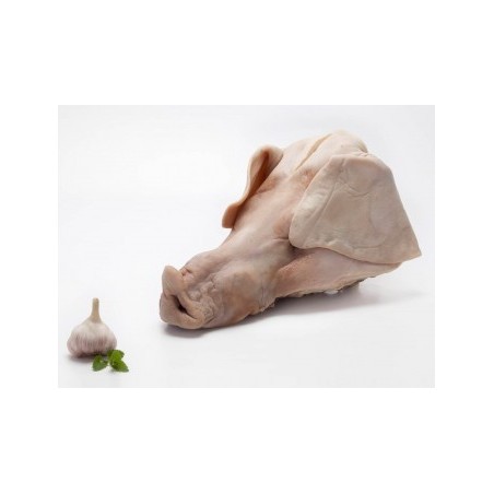 Cabeza de cerdo fresca
